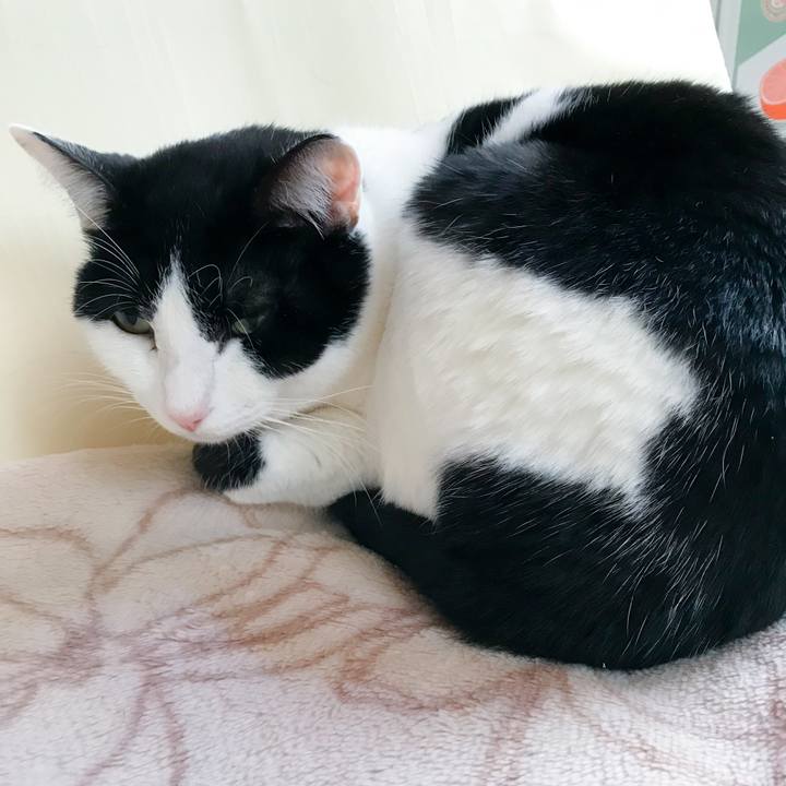 Ce5314d9 aa86 4c3a 8244 ffceb71e81cc 1515162543371