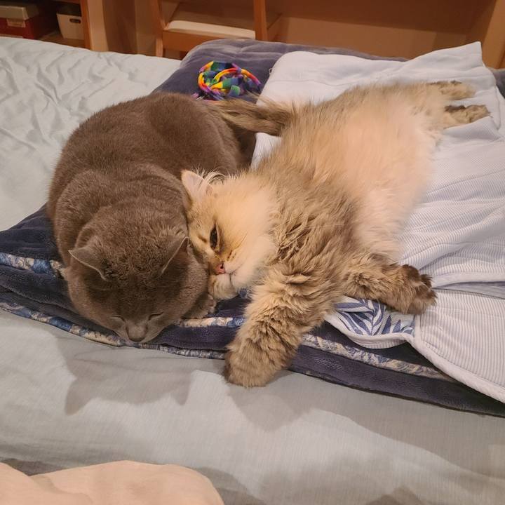 Ce531cea 4612 48c7 8a42 32b3d96f8f6a 1623379426391