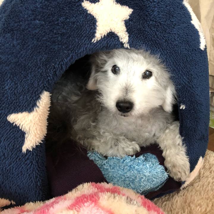 Ce537121 27a9 4e20 bfbe c1f95a1c429a 1586992504047