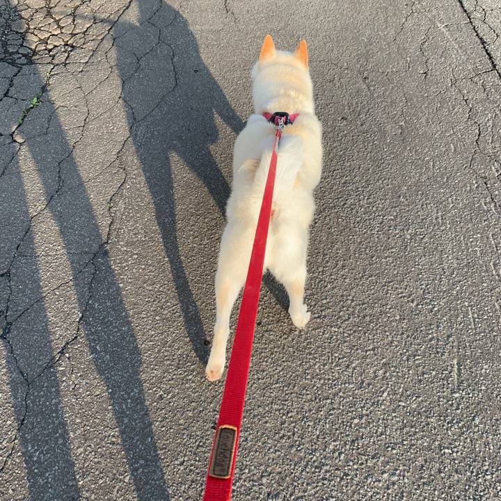 Ce537634 3044 406e 9886 33cfa4518fbd 1564264070095