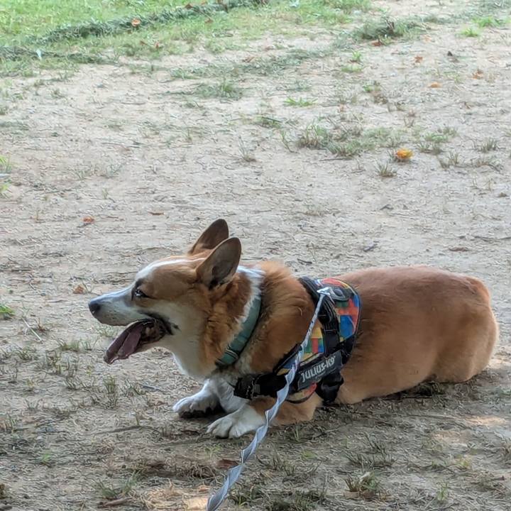 Ce537644 9db9 4581 a331 79d60a58e25b 1752040573818