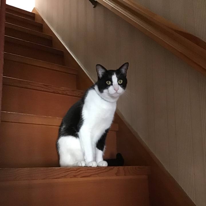 Ce53c6e0 b3b0 4f16 bf73 905cda17d8a2 1687660251629