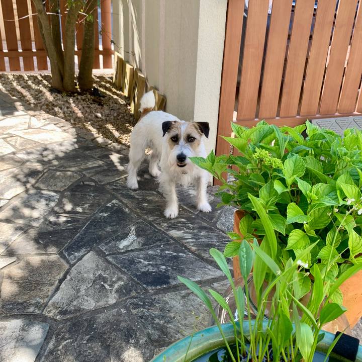 Ce53eb1b 2b82 40f3 b736 f5b3cf78f6ec 1653693766631