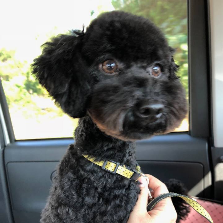 Ce53f6e7 a878 42e4 a129 3c9d9a597418 1509073978789