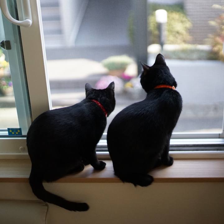 Ce54411b 8e63 4825 b597 4da914858d7b 1522242216785