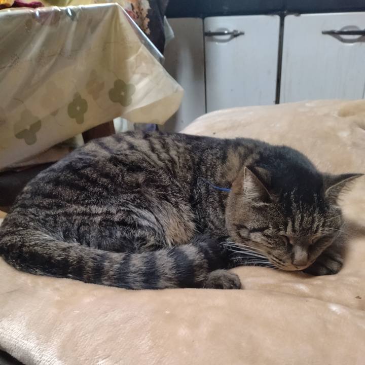 Ce545582 f880 43ce bc17 7a1b3675c841 1704333996541