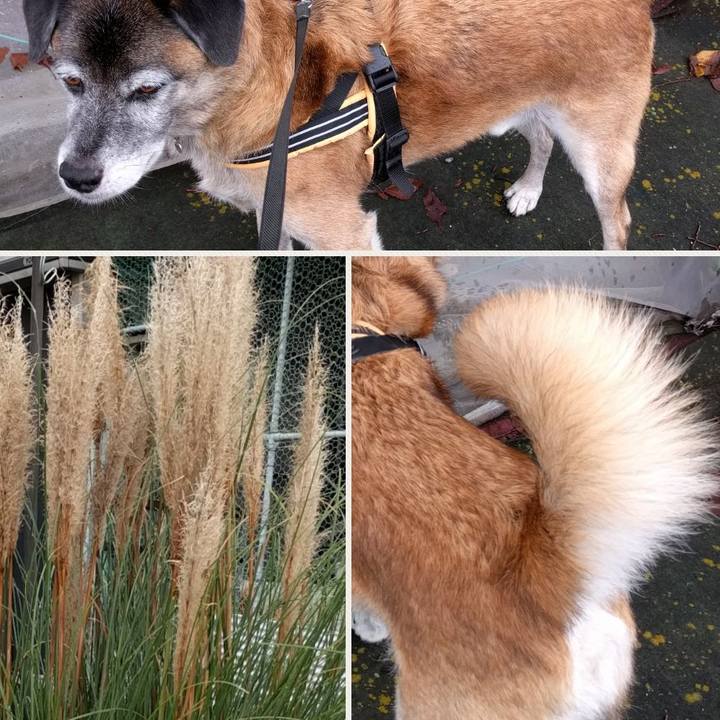 Ce5471d0 4fc3 48d3 af9d 260d4e3f893a 1538006066430