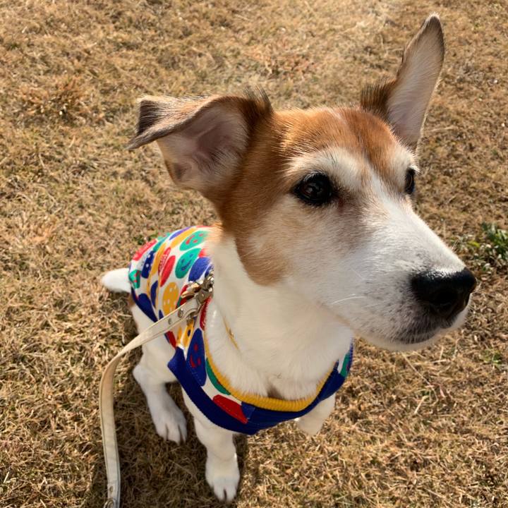 Ce547e29 8b10 4afb aa73 a861382e7101 1546692562512