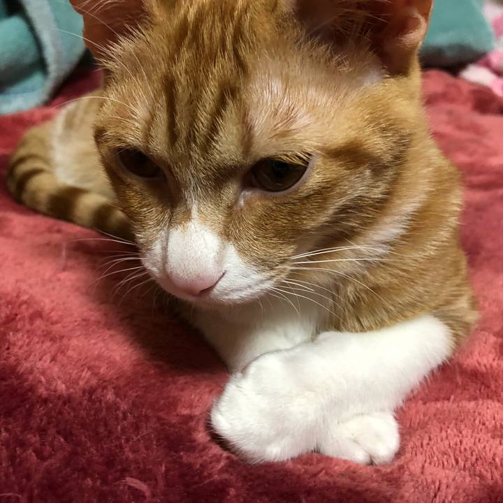 Ce54dbb8 a571 422d a962 08730e21fc37 1547904614371