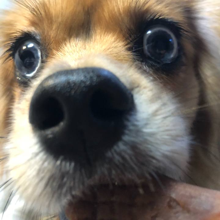 Ce550c60 7d31 468b a29a 0898f162123d 1537911281836