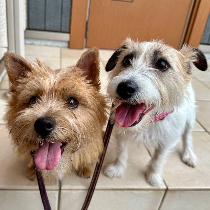 Ce553d30 f163 4c3c ab48 c340ba388d25 1750509472817