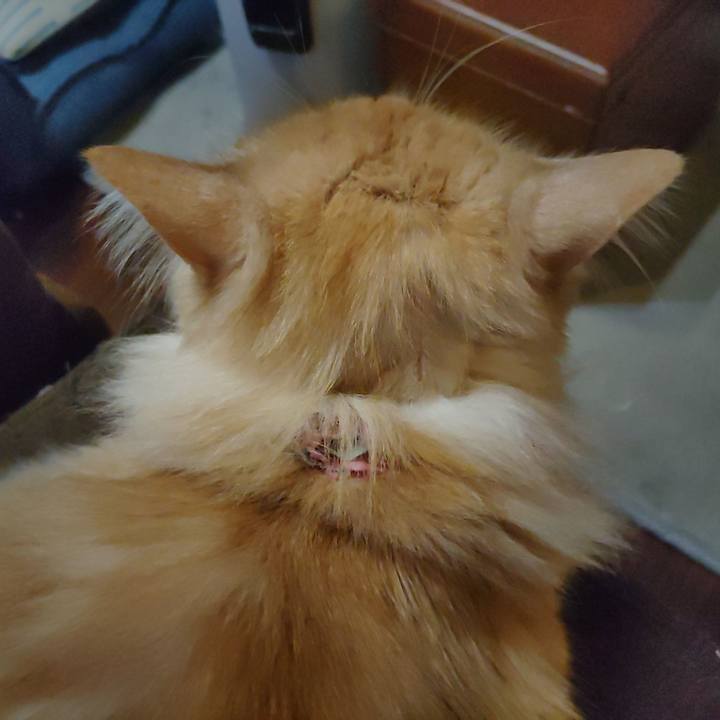 Ce556468 1ac9 440f 8ecf 596ac748d890 1683497680856