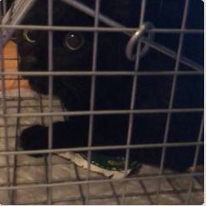 Ce5584cf 0e83 464a 9ba1 329998498ebd 1592230055782