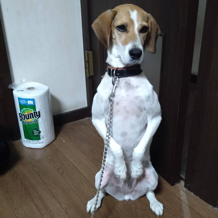 Ce559ba4 32ff 474a 8f73 77ad2dcaf8cf 1629284441076