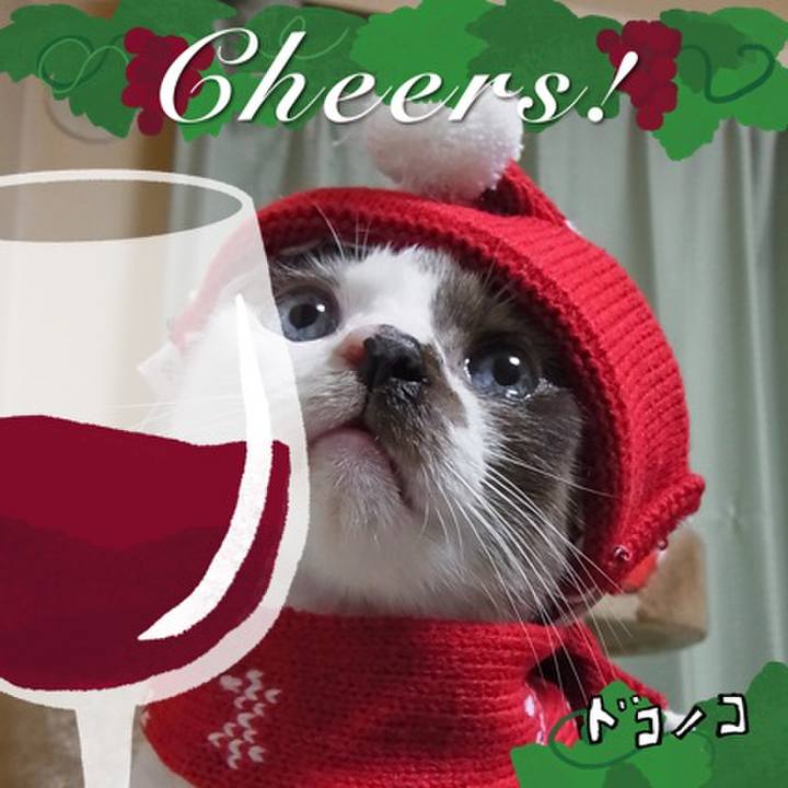 Ce559dbe 3c40 40f2 9a10 c11db0e5f11d 1761312640919