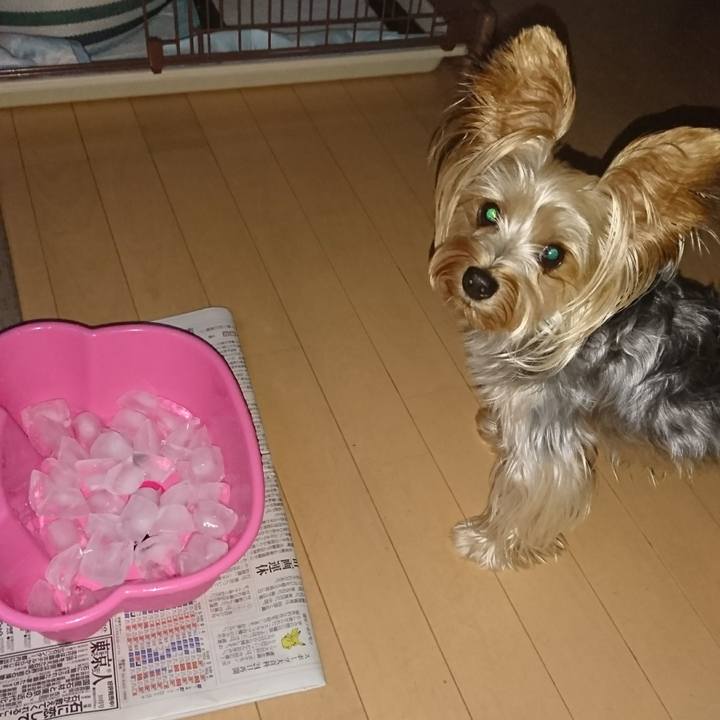 Ce55d3cf 5814 4d8d 83f1 8b06f8adf126 1536041800113