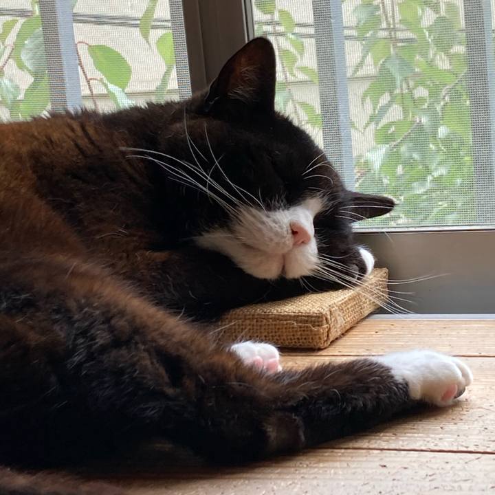 Ce55e0f4 305a 41b2 8f74 55cf7c42b05b 1621050674402