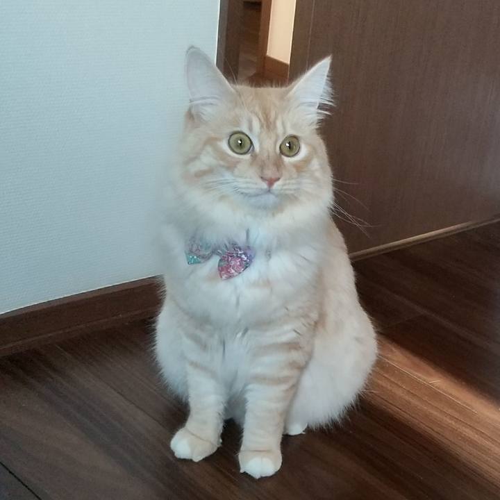 Ce55fff6 4414 4e1d bf2d 5ce88b8df470 1631054208741