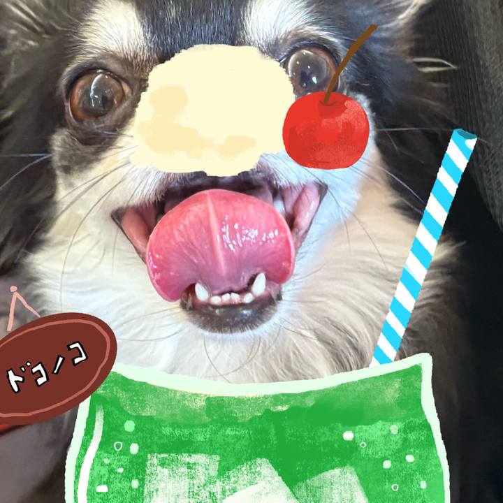 Ce563ae6 643e 497b 8e1b 334a9876435d 1755193533135