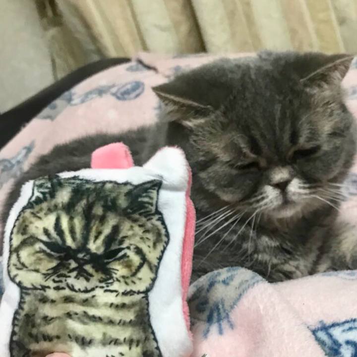 Ce5657b6 3560 42c2 839c 4d9a384b8b0f 1519660489472