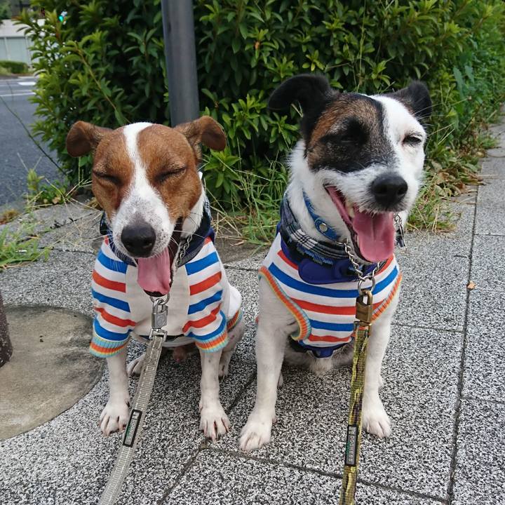 Ce567957 bddb 45f8 a85b 6125429adfb9 1598048712205