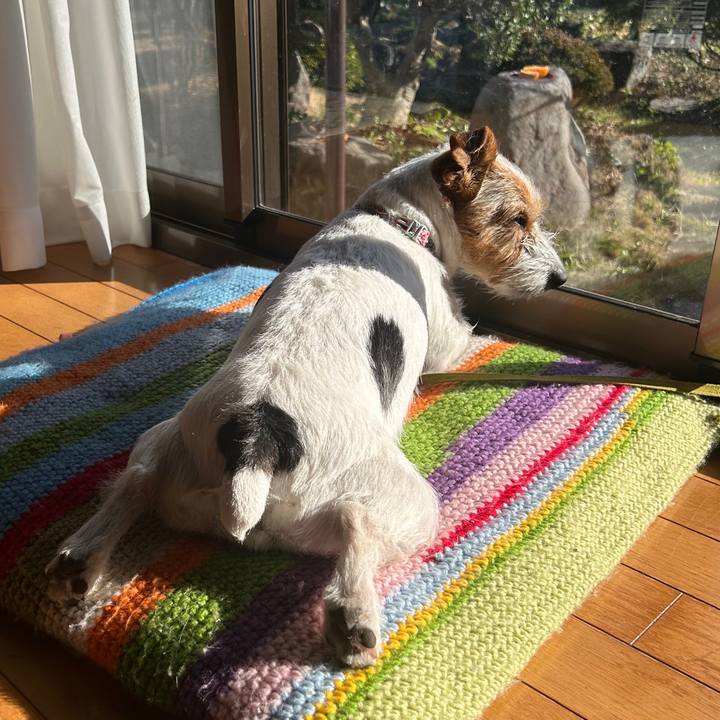 Ce568383 0c68 457b a7ca f76f07823d68 1768634053651