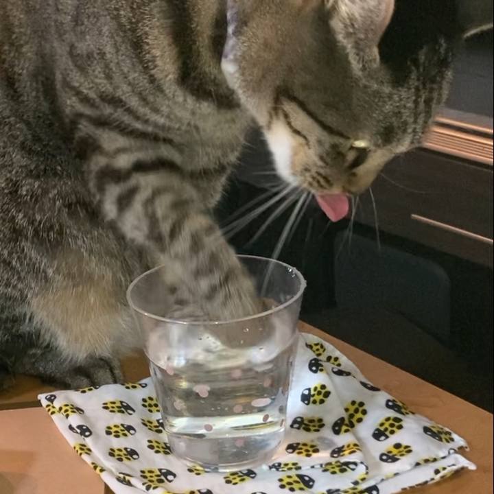 Ce5684a8 6110 4640 b86f 0e2d860388f3 1638792618520