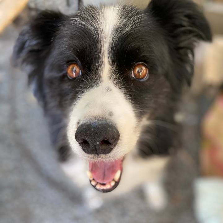 Ce56c5e1 c8a7 4ffa 80f2 568b95952d56 1597555316988