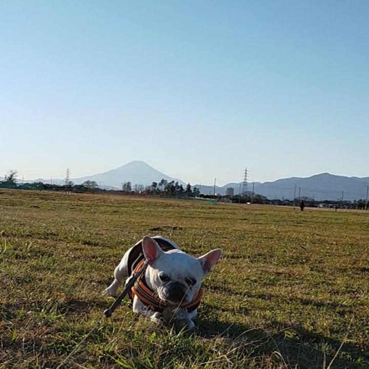 Ce56cf78 d35e 466e 9448 9c1b3a74e439 1671005758432