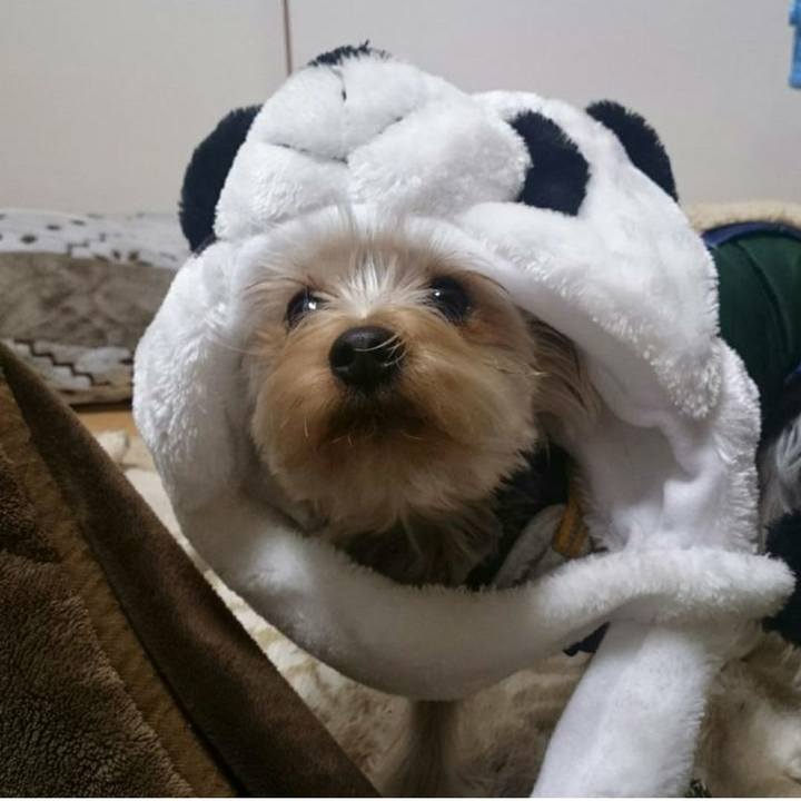 Ce56f3c0 8f65 43c3 946c dbecab1f3cb4 1677022068246