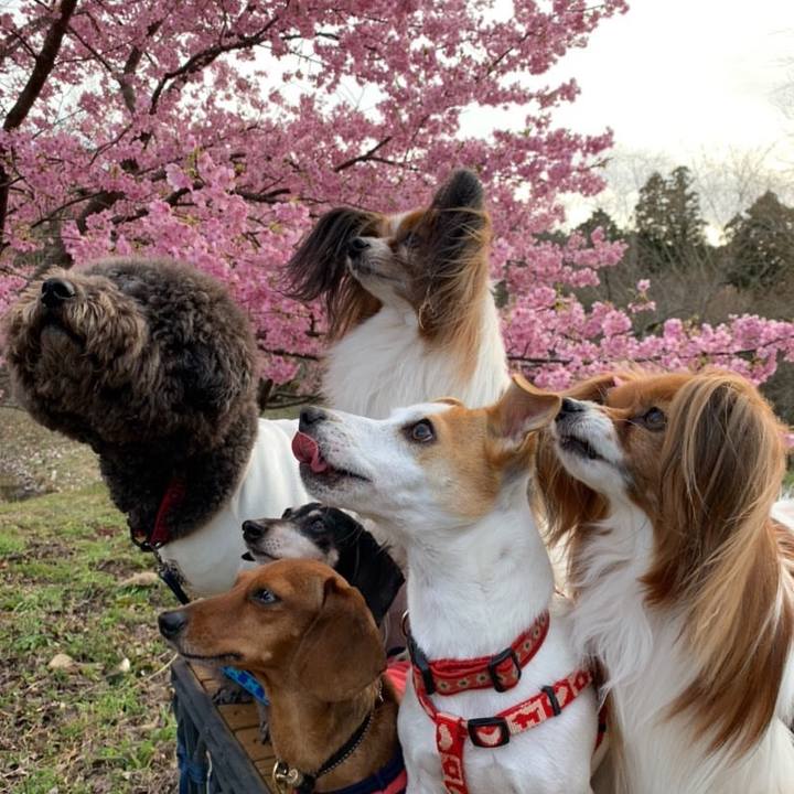 Ce57211a 0b8f 48cb 9e44 7b7b7876d6e7 1582105067241