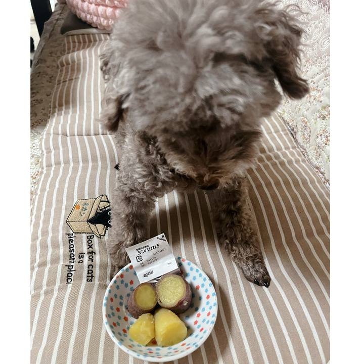 Ce572d16 7f61 4a2a b484 542e2d25026c 1757393585355