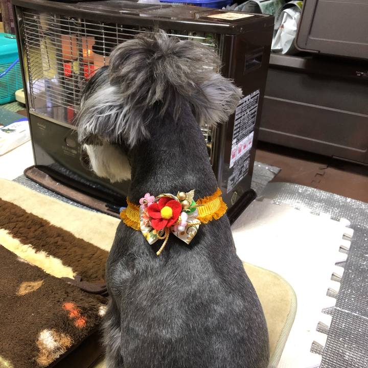 Ce579b93 cccb 42da b143 6a91e9abcce2 1545210567275