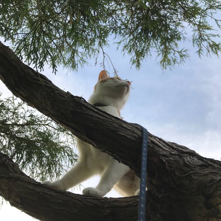 Ce57b266 361d 4c47 beaf 794cc1ce1537 1529399109813