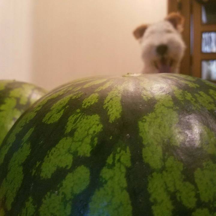 Ce57fe10 73b3 439d a3bf 84e36b72db64 1595678381809