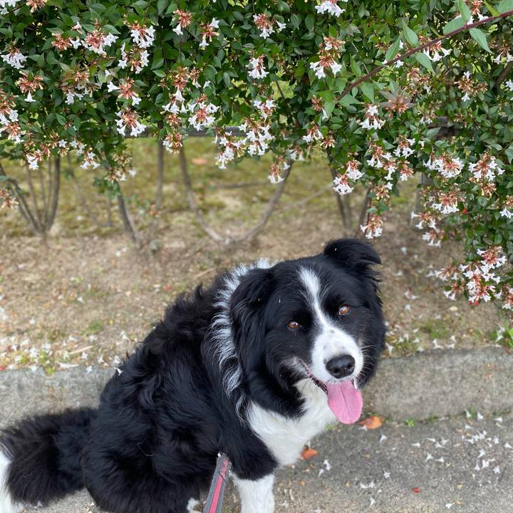 Ce58462c afb1 492b a009 8ab68c107fea 1623539804224