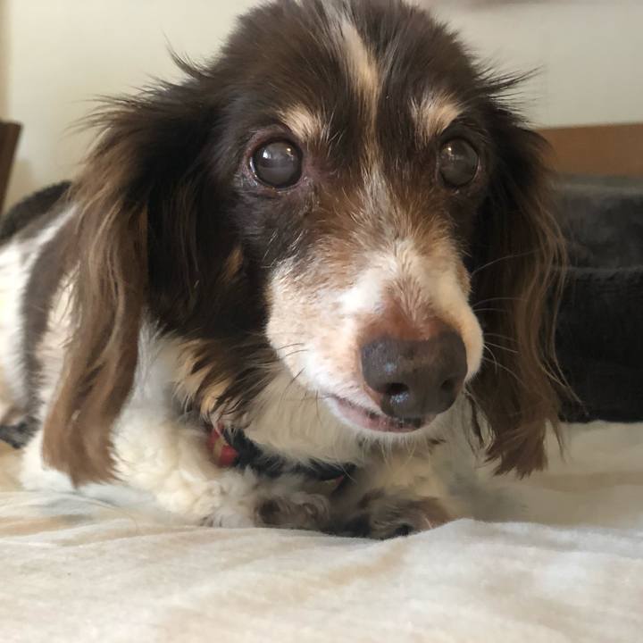 Ce584c51 9fc8 4674 b428 0525db9555b9 1592103125674