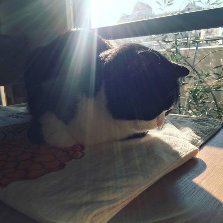 Ce5850f3 ddcf 4e37 866b 9a8670bfbd8e 1607126434837