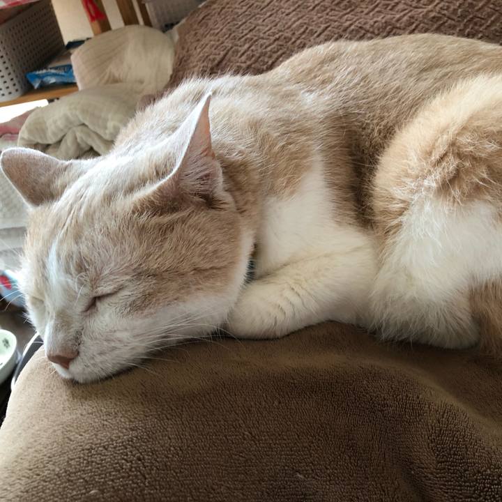 Ce58755f 3bed 44df a7ec d1feecda9568 1598156433342