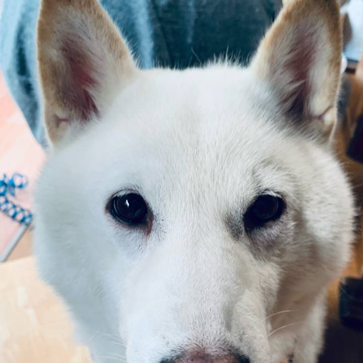 Ce58c2d0 aaa1 4d11 bfc8 38e8dab48d1b 1668292750637