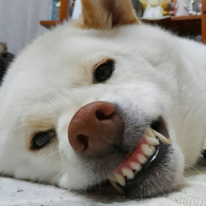 Ce58c410 fd96 4bef 859f 17e76b17f255 1519819125880