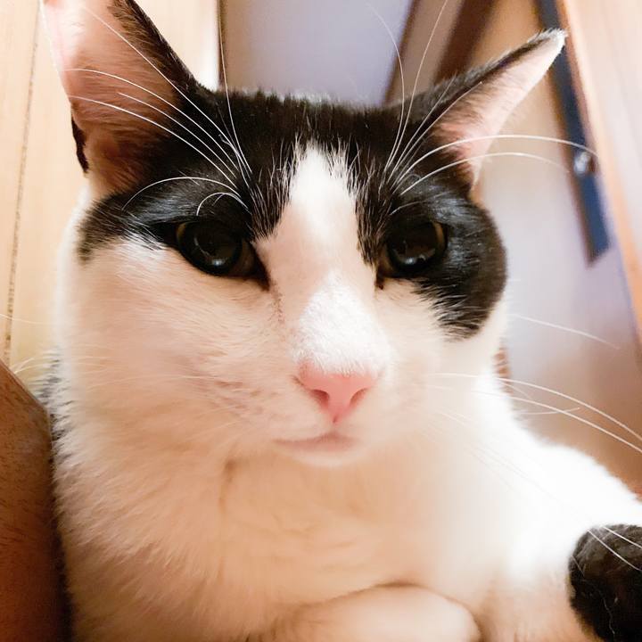 Ce58dc12 e2d3 4f1c b13d f56e1f5d58f2 1562638129445