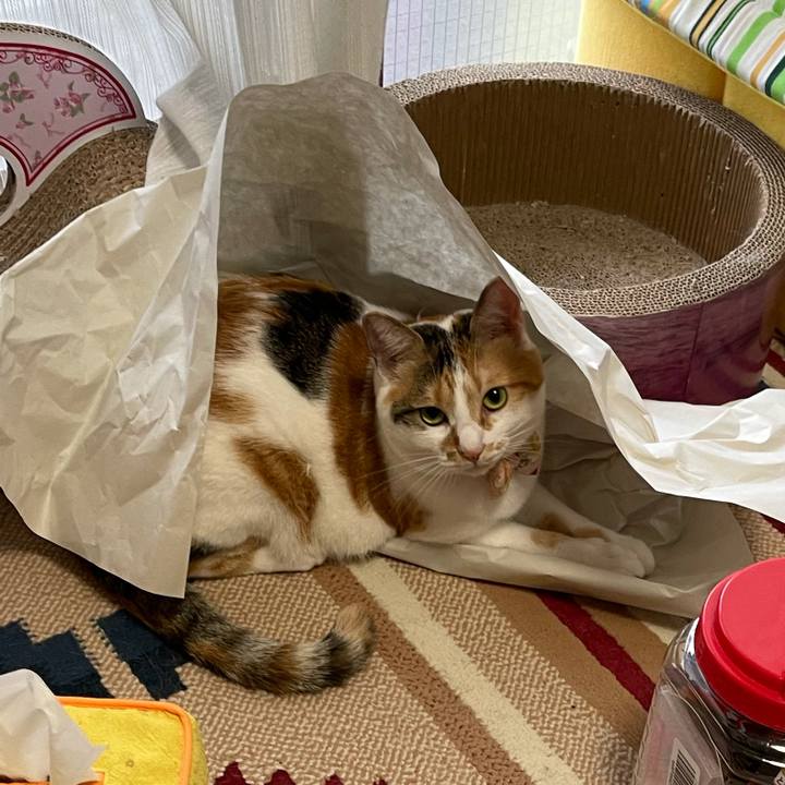 Ce591eee ef93 489a 85ff 1900be13fdc4 1630542583472