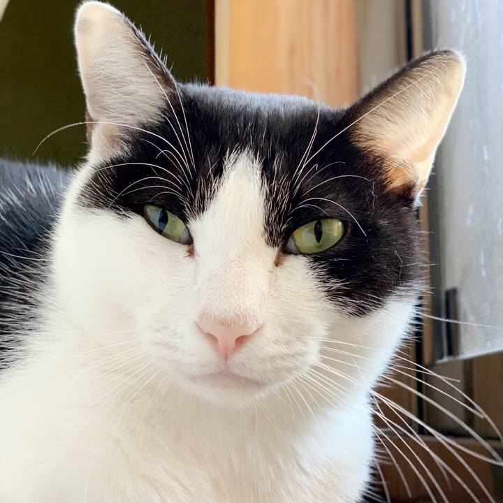 Ce593b77 f283 4b7c 85d8 0d560fae9a14 1543887863628