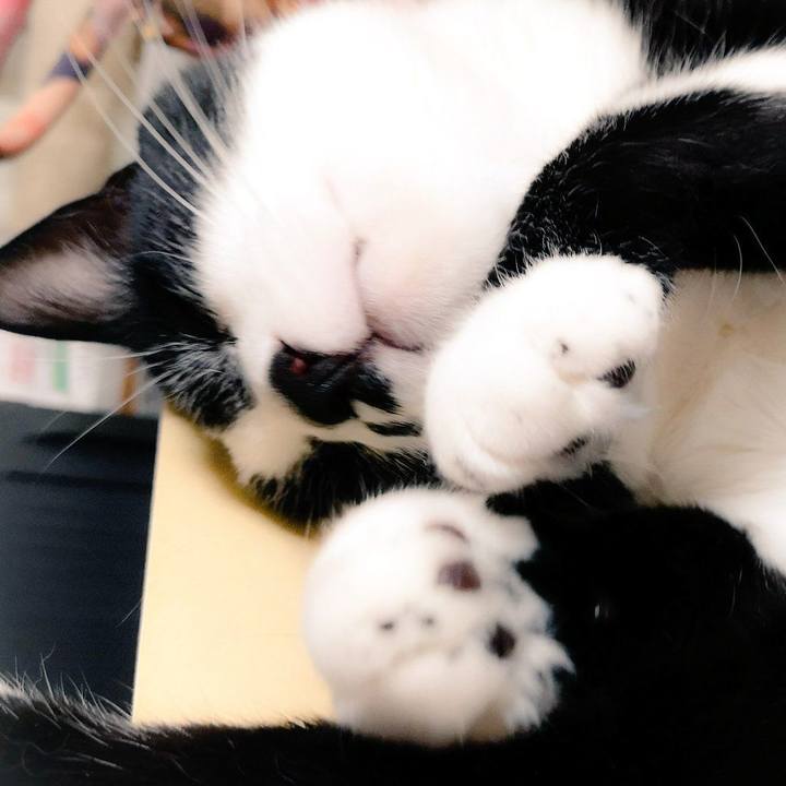 Ce597eed 73ce 4f99 9a32 5751a455a492 1560180791918