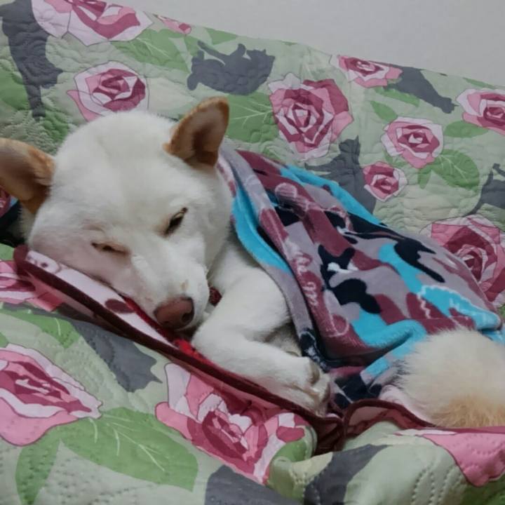 Ce598486 d10c 4436 976d 3895b0858baf 1509368154085