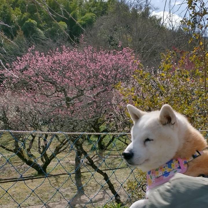 Ce598cf3 4888 4220 ac18 a7b758c61974 1708770610501