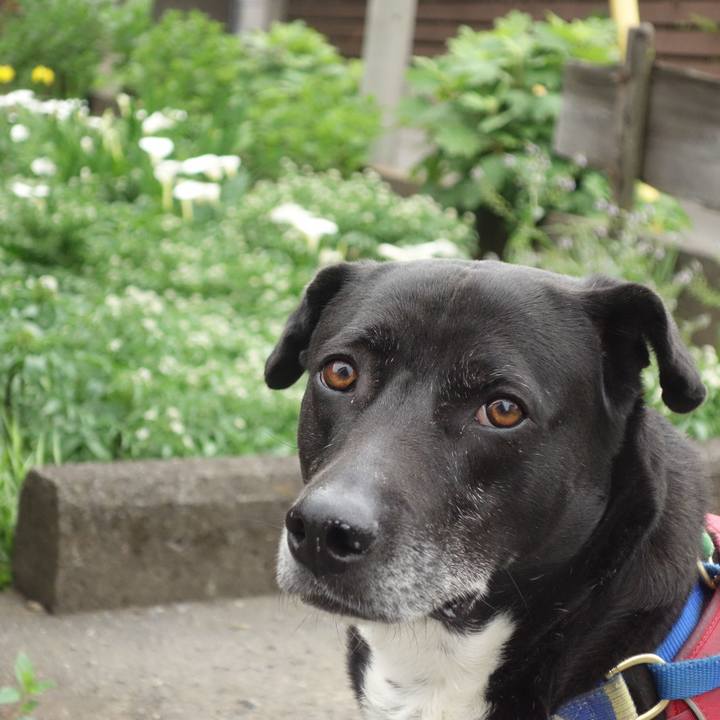 Ce59a2bc ad99 477c 814d c01045020aee 1682126641606