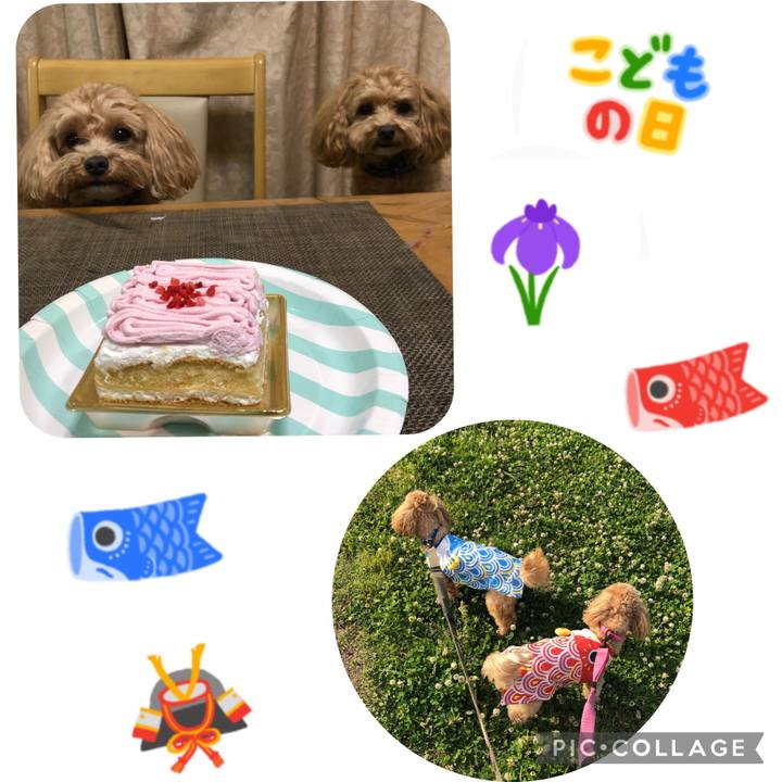 Ce59a305 77b2 4b99 be00 d5bc6566a2ff 1651781672323