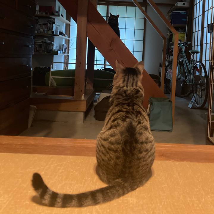 Ce59bc33 d7dd 4ef2 b4fa 7122d29511a5 1680735393192